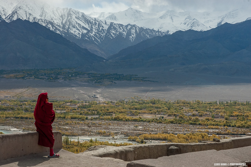 Monjo mirant el paisatge des del monestir de Thiksey